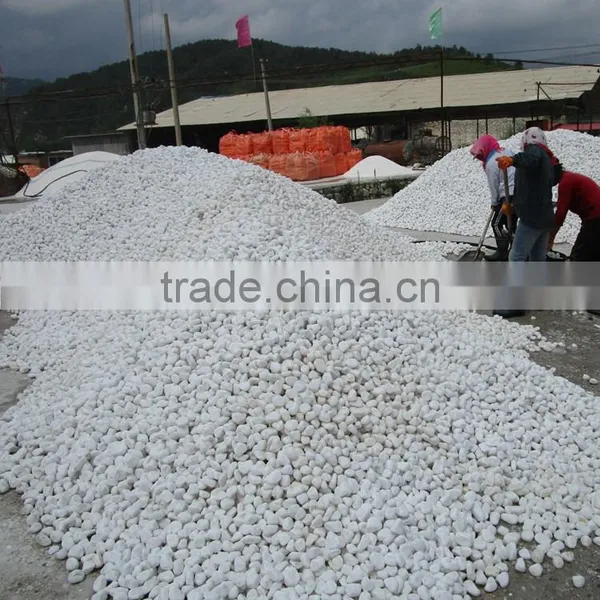 China White Round Pebble Stone For Pavers photo-3