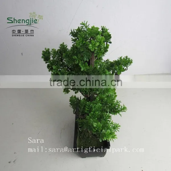 Indoor Bonsai,potted Evergreen Foliage, Decorative Landscape photo-3