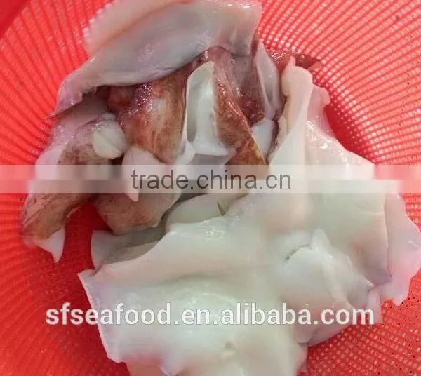 Good Quality Seafood Frozen Giant Squid Neck photo-2
