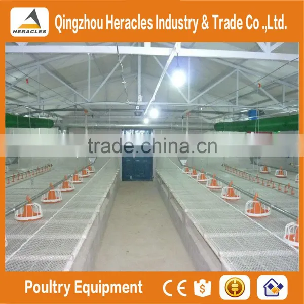 Heracles Sereis Complete Automatic Poultry Farm Equipment for Broilers and Breeders photo-3