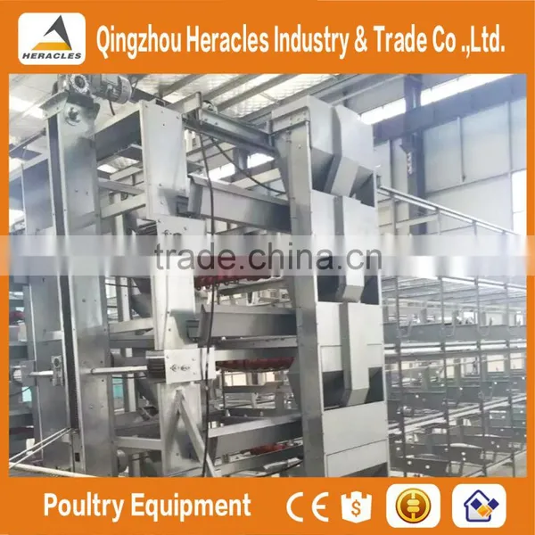 Best Selling Poultry Farming Layer Chicken Cage-H Type 4 or 5 Layers for Egg Chicken photo-4