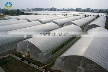 Agricultural Film Covering Vegetable Greenhouse photo-2