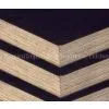 GIGA- 18mm Anti-slip Film Faced Plywood From AAA Manufacaturer