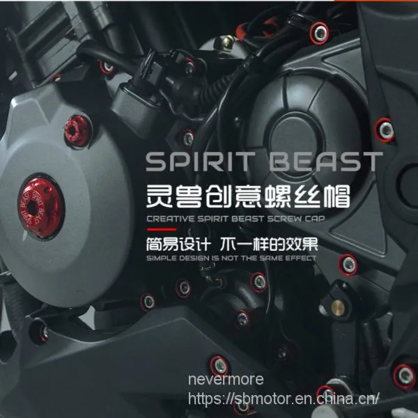 Spirit Beast Motorcycle Modified Creative Screw Cap 6mm for Huanglong 300 L1 photo-2
