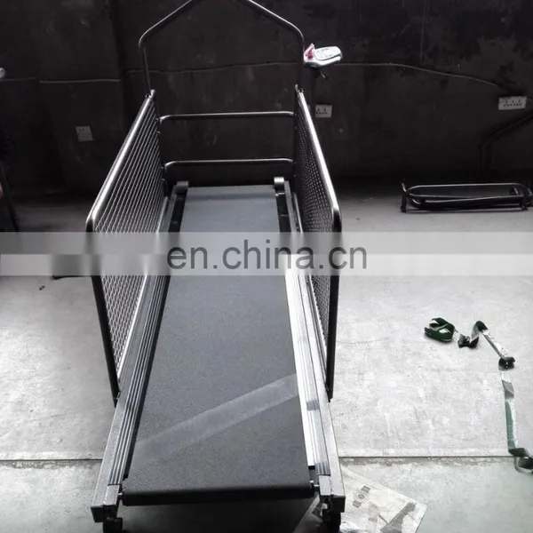 Loading Weight 120kg Dog Treadmill Price photo-2