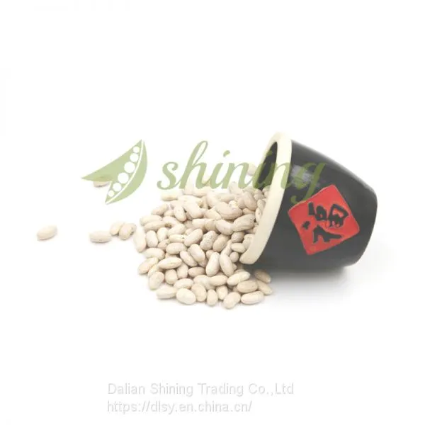 High Quality Spanish White Kidney Bean on Sale