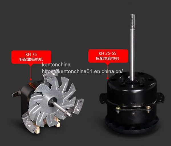 Fruit Oven Export High Quality, Stainless Steel Inner Intelligent Temperature Control photo-2