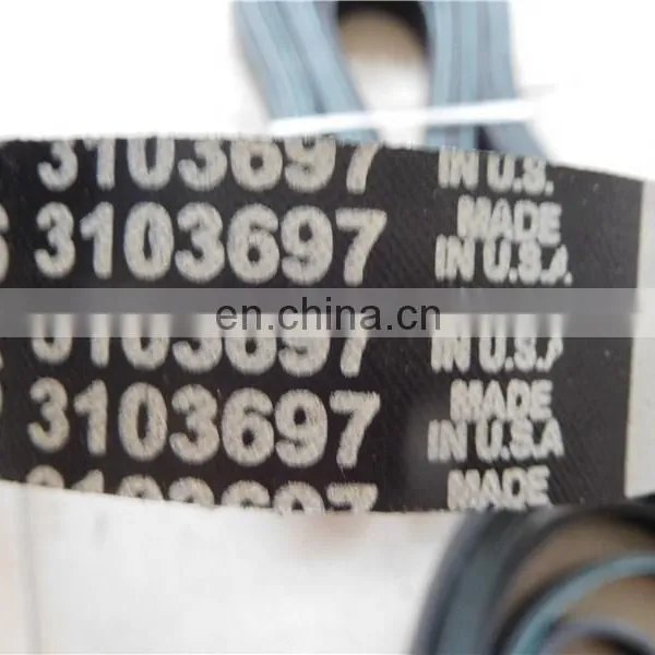 3103697 Belt photo-2