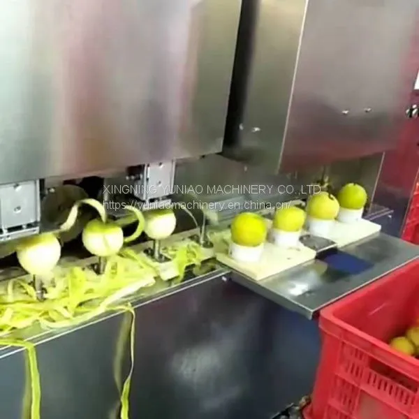 Automatic Stainless Steel Fruit Peeler Peach Apple Core Remover Peeling Machine 600-800KG/H WT/8613824555378 photo-3
