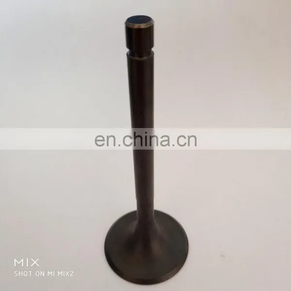 for Mwm Deutz Tcg 2032 Tcg 3020 Tcg2020 Tcg 3016 V16 V12 V20 v8 2016 Generator Gas Parts Engine Valve Gudies Piston Kits photo-2
