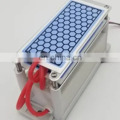 Portable Ionized Air Purifier 10g 12V Car Air Purifier Electronic Air Purifier Industrial Ozone Generator photo-4