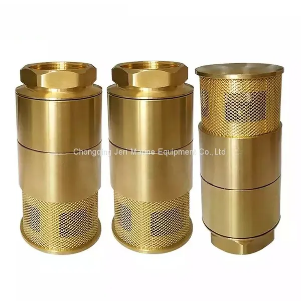Double Foot Valve photo-3