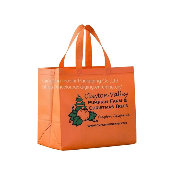 Nonwoven Shopping Bag