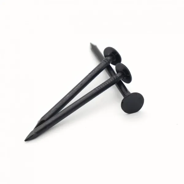 Blacked Common Wire Nails Q195 Material with Anti-Rust Treatment 25kg per Bag