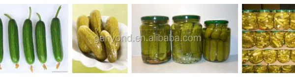 Canned Vegetable & Cucumber Production Line for Food Industries photo-3
