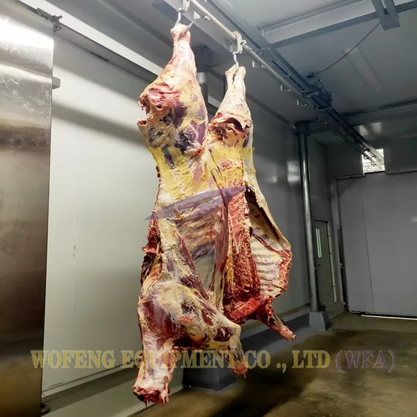 Complete Suspended Cattle Slaughtering Equipment Cow Butchery Machinery OX Abattoir Line ISO 9001 Beef Processing Conveyor Plant