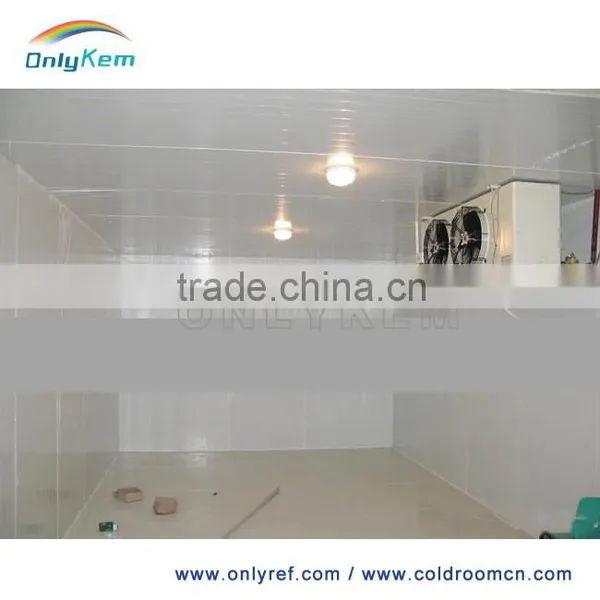 Best Quality Insulation pu Panel for Cold Storage photo-3