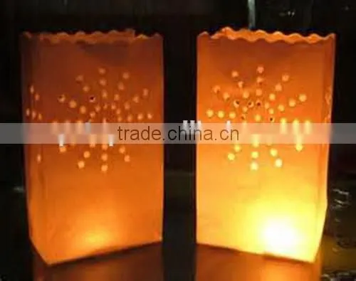 Durable Service Best Sell Customized Luminaries Paper Bags photo-2