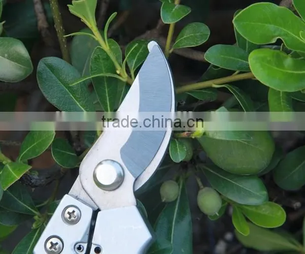 Stainless Steel Garden Pruning Scissor Bonsai Scissors photo-5