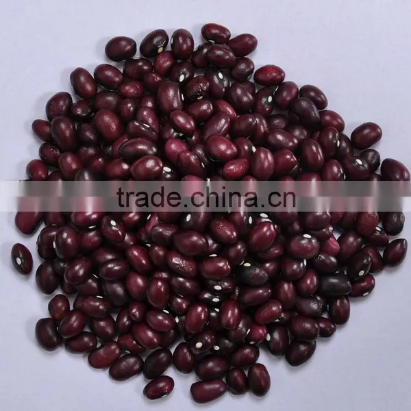 Purple Kidney Beans,Round