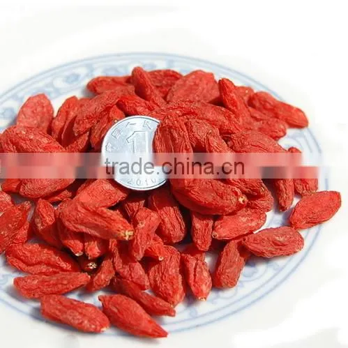 Goji Berry Extract Chinese Wolfberry