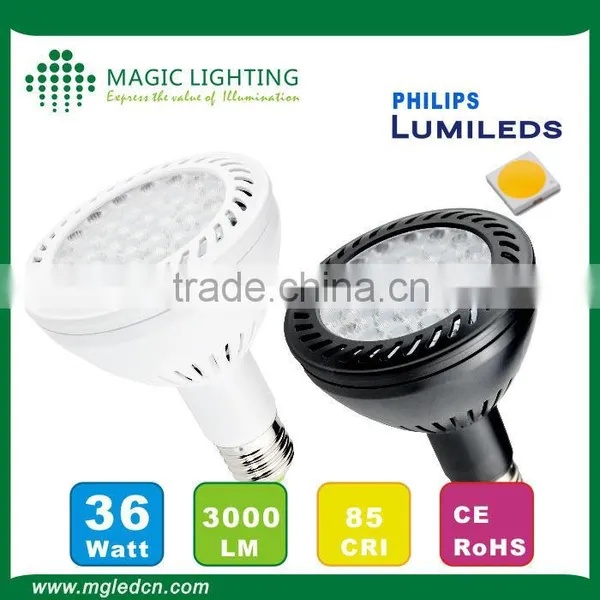 Hot Sale 36w Aluminum Pc E27 3535 Cool White Par30 Led Spotlight photo-5