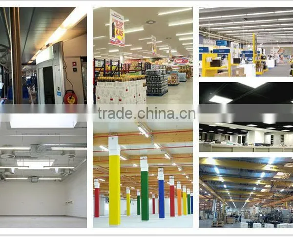 Waterproof Waterproof Tri-proof LED Light for Food Factory photo-6