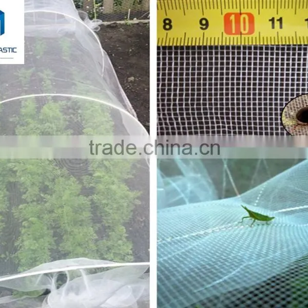 New Arrival uv Treated Hdpe Greenhouse Insect Net , Agriculture pe Anti Insect Net , Insect Screen/net With Low Price photo-6