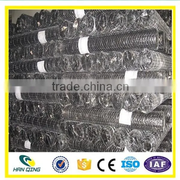 Best Price Hexagonal Mesh From Anping Factory photo-6
