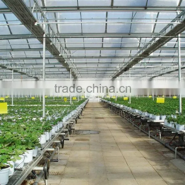 Polycarbonate PC Sheet Multi-span Greenhouse photo-3