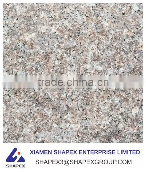 Good Quality G648 Granite Tiles 40x40 photo-2