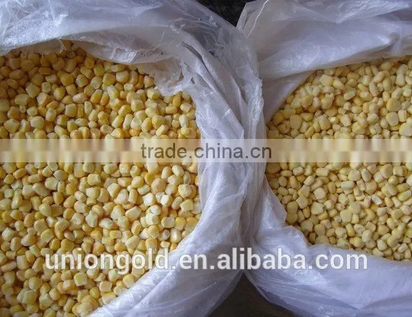 Non-GMO Cut Sweet Corn Kernels/niblet photo-4