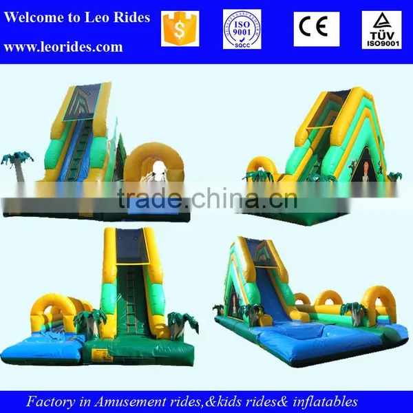 China Henan Inflatable Slide, Giant Inflatable Water Park Slide photo-4