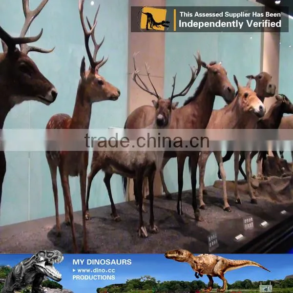 My Dino-C091 Life Size Animatronic Wild Animal Model for Sale photo-6