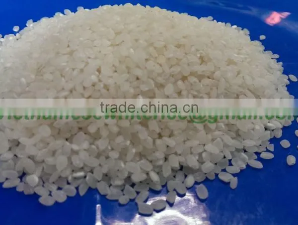 JAPONICA RICE - VINAFOOD1