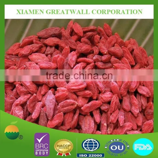 HACCP Ningxia Origin Frozen Goji Berry Dried
