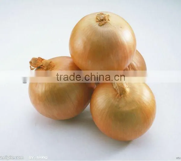 Selling Fresh Yellow Onion(in Low Price)