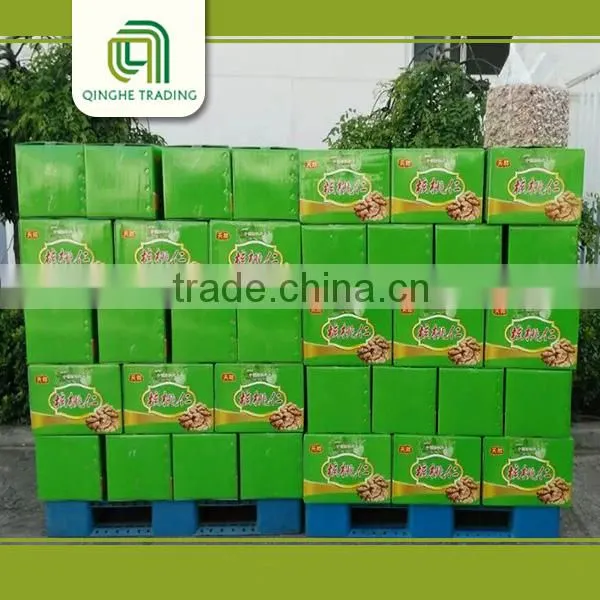 Natural High Quality Walnut Kernels Walnut Without Shell 18mm-24mm photo-6