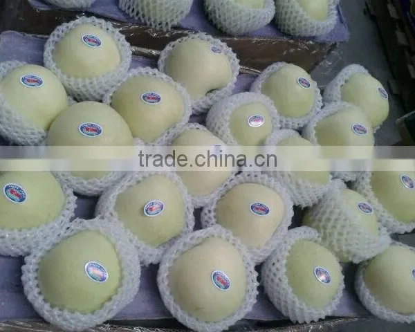 New Crop 2015 Delicious Golden Apple photo-3
