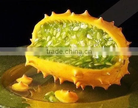 Hybrid F1 Fruit Seeds Kiwano Seeds For Growing photo-4