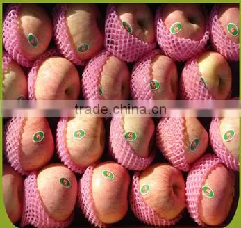 Fresh Apple photo-2