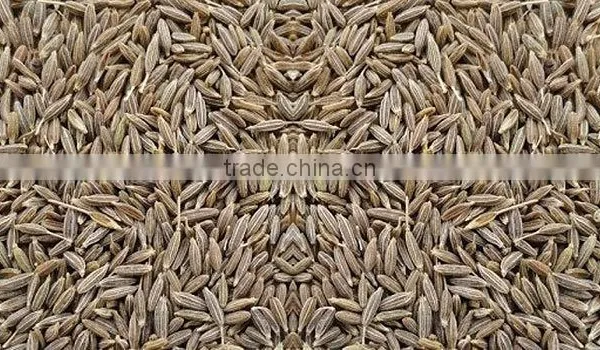 Europe Quality Cumin Seed for Best Price photo-2