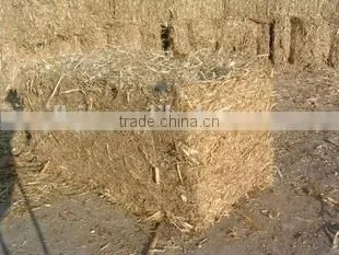 More Energy Saving Baler Machine,wheat Straw Baler With German Hydraulic Technology photo-4
