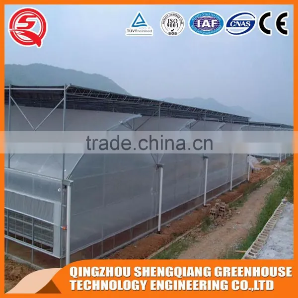 Walk in Greenhouse Plastic/greenhouse Steel Frame photo-3