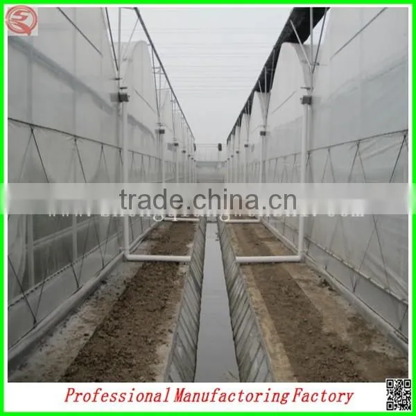 Commercial Plastic Vegetable Greenhouse for Sale With Seedbed photo-3