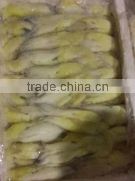 Frozen Illex Squid Roe photo-2