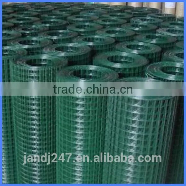 Plastic Coated Welded Wire Mesh From Guangzhou Supplier/ Electrowelding Net photo-3