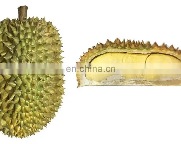Premium Durian From The Nature Of Vietnam photo-5