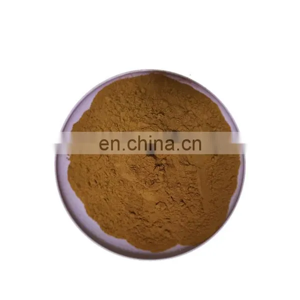100% Pure Organic Chaga Mushroom Extract Powder photo-3