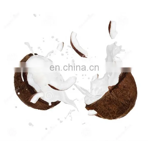 Complete Coconut Milk Production Line / Coconut Water Processing Machinery